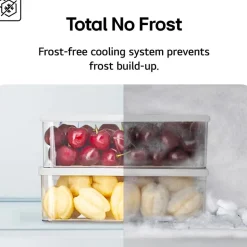 LG GBF3102EEP 343L NatureFRESH Frost Free Fridge Freezer with Non Plumbed Water Dispenser Matte Black