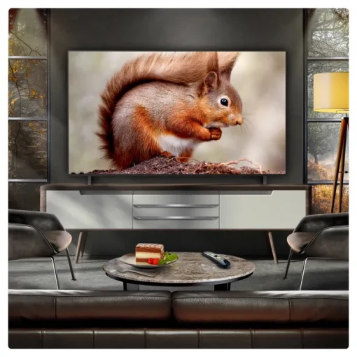 LG OLED77B56LA 77 Inch AI B5 4K HDR OLED Smart TV 2025