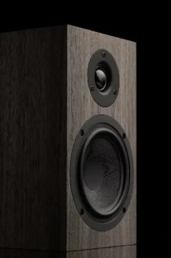 Pro-Ject Speaker Box 5 S2 Eucalyptus