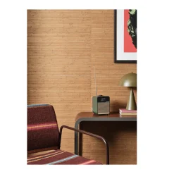 Ruark R1 MK4 DAB DAB+ FM Bluetooth USB Digital Radio Nordoff Robbins Pine Green Limited Edition