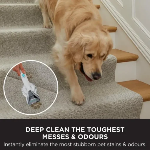 Shark EX200UK CarpetXpert Deep Carpet Cleaner with Built-In StainStriker - White