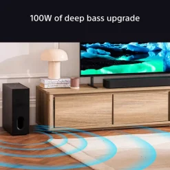 Sony SASW7 BRAVIA Theatre Sub 7 100W Wireless Subwoofer Black