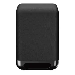 Sony SASW5_CEK Wireless 1ch S-Master Subwoofer - Black