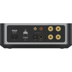 WiiM Amp Network Stereo Amplifier Silver