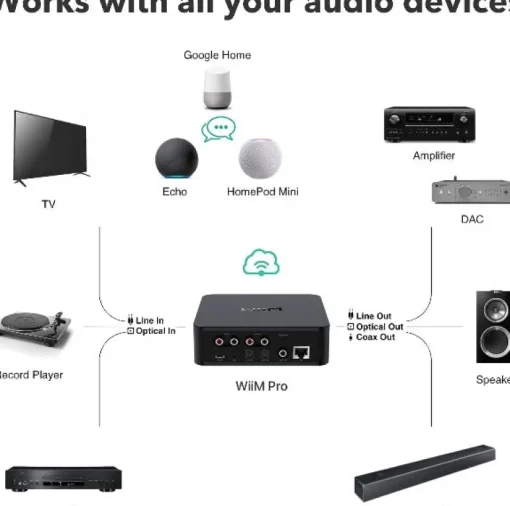 WiiM Pro Audiophile Grade Multi-Room Music Streamer