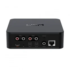 WiiM Pro Audiophile Grade Multi-Room Music Streamer