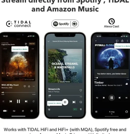 WiiM Pro Audiophile Grade Multi-Room Music Streamer