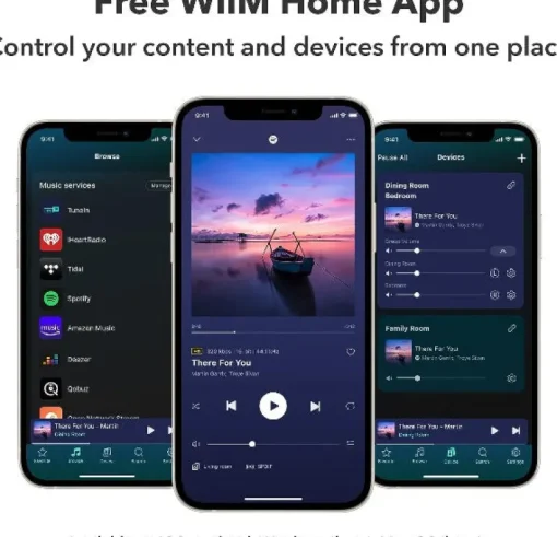 WiiM Pro Audiophile Grade Multi-Room Music Streamer
